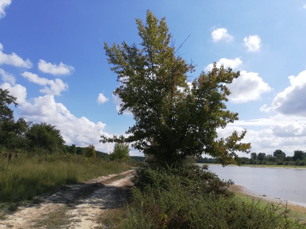 lac de peyrot - maurrin - promenade et pêche - pays grenadois